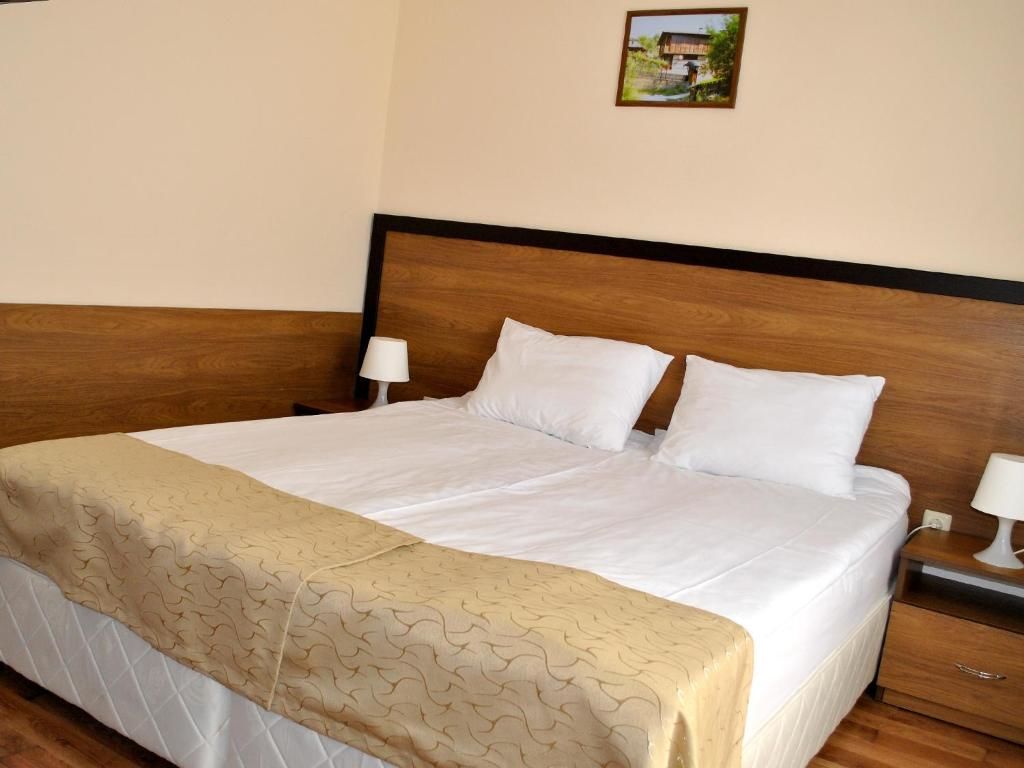 Отель Spa Hotel Ivelia Dŭbnitsa