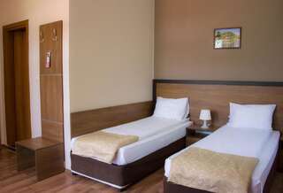 Отель Spa Hotel Ivelia Dŭbnitsa Двухместный номер с 1 кроватью или 2 отдельными кроватями-1