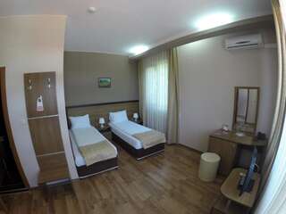 Отель Spa Hotel Ivelia Dŭbnitsa Двухместный номер с 1 кроватью или 2 отдельными кроватями-2