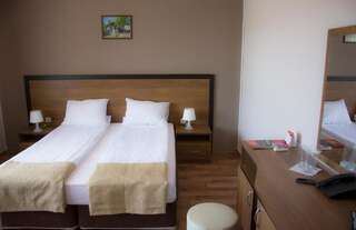 Отель Spa Hotel Ivelia Dŭbnitsa Двухместный номер с 1 кроватью или 2 отдельными кроватями-3
